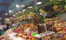 CASA BRANCOVEANU LIVRARI