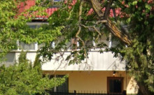 Lexington Apartments