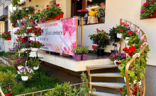 Florarie Constanta
