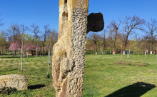 Potcoava de Aur