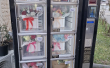 Floraria L&A Flowers and Events