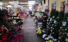 Florăria Adi