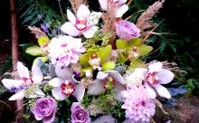Florăria Crizantema De Aur