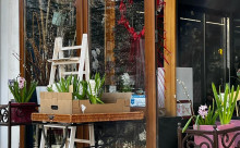 Florăria Ikebana