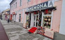 ANEMONA