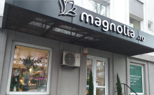 Florăria Magnolia Bistrița (Bd. Republicii)