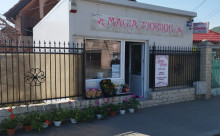 Magia Florilor