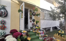 Floraria Flamingó viragüzlet