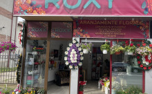 Florăria roxy