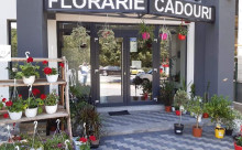 Florarie cu Stil