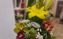 Garden flowers & Surprises Shop Virágüzlet