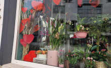 Sophie's Flowers