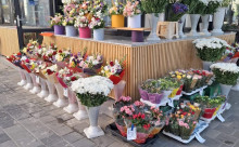 Florăria Echipa Lola