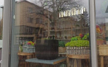 Florăria The Tulip & The Rose Shop