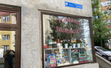 Magnolia virágüzlet