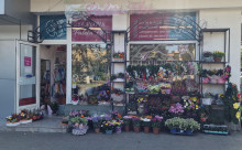 Paleta Flor