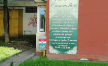 Casa Cu Flori - Florarie