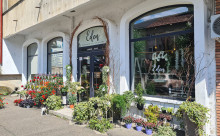Floraria Eden Boutique-ul cu Flori Piatra Neamt