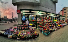 Floraria La Petruța
