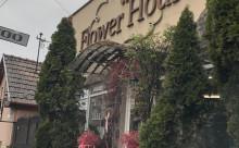 Flower House Mures