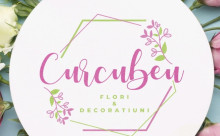 Florarie Curcubeu Afi Ploieşti