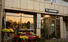 Boutique Florarie Sibiu