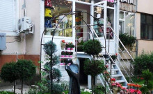 Floraria Petale de Suflet Alexandria