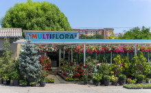 MULTIFLORA S.R.L.
