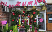 Zuma Flowers