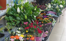 Floraluci SRL