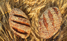 Aurora Bakery