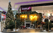 Avantaje