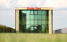 Roza Oro