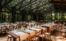 TreeHouse Cosoba