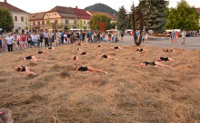 Rivulus Dance Baia Mare