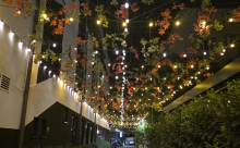 Hotel Anna
