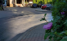 Hotel Vaslui