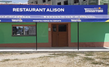 ALISON REAL FOOD