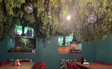 The Jungle