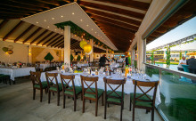 Pronia