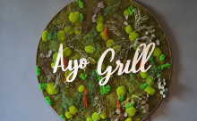 Ayo Grill