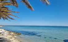 VACANŢA DE VIS - AGENTIA TA DE TURISM S.R.L.
