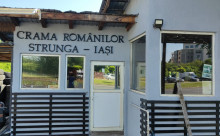 Crama Pitesti - Crama Românilor