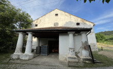 Cramele Miniș