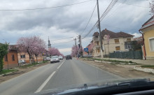 Partener Cramele Recaș