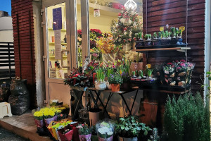Aleyna Flower Shop