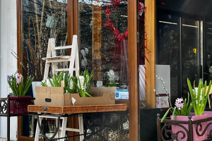 Florăria Ikebana