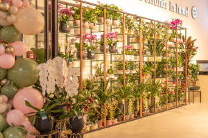Florăria Magnolia - Electroputere Mall Craiova