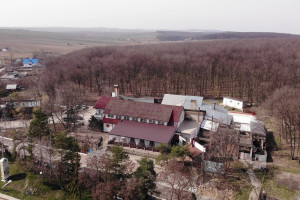 Motel Restaurant "Stejarul"