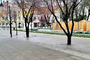 Agenția de Turism Aurora